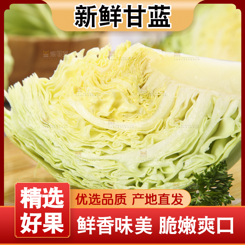 白格子底上的甘蓝包菜