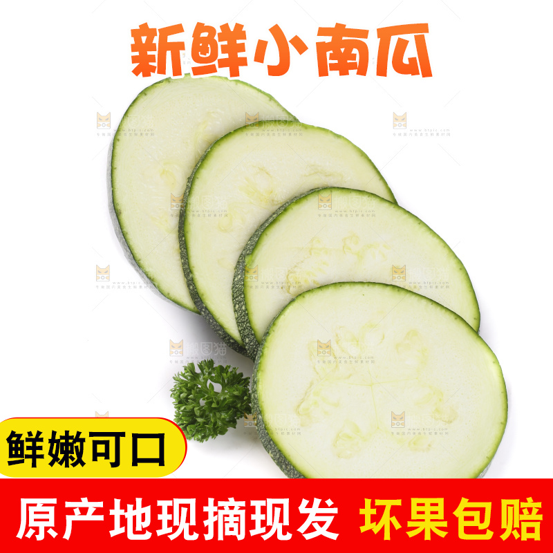 白底上摆放着花皮小南瓜