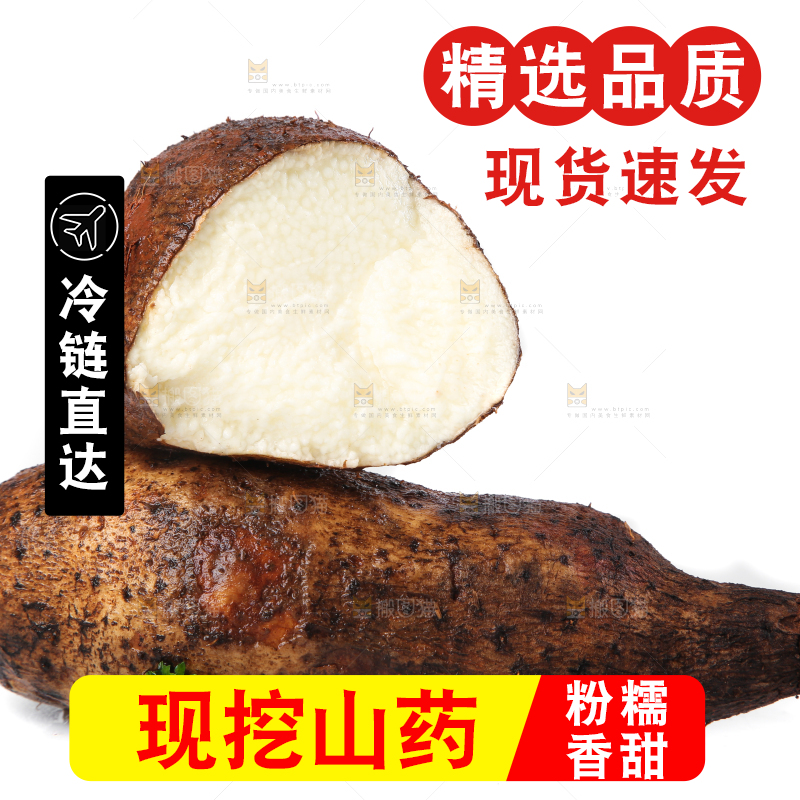白底上的糯米金秤砣山药