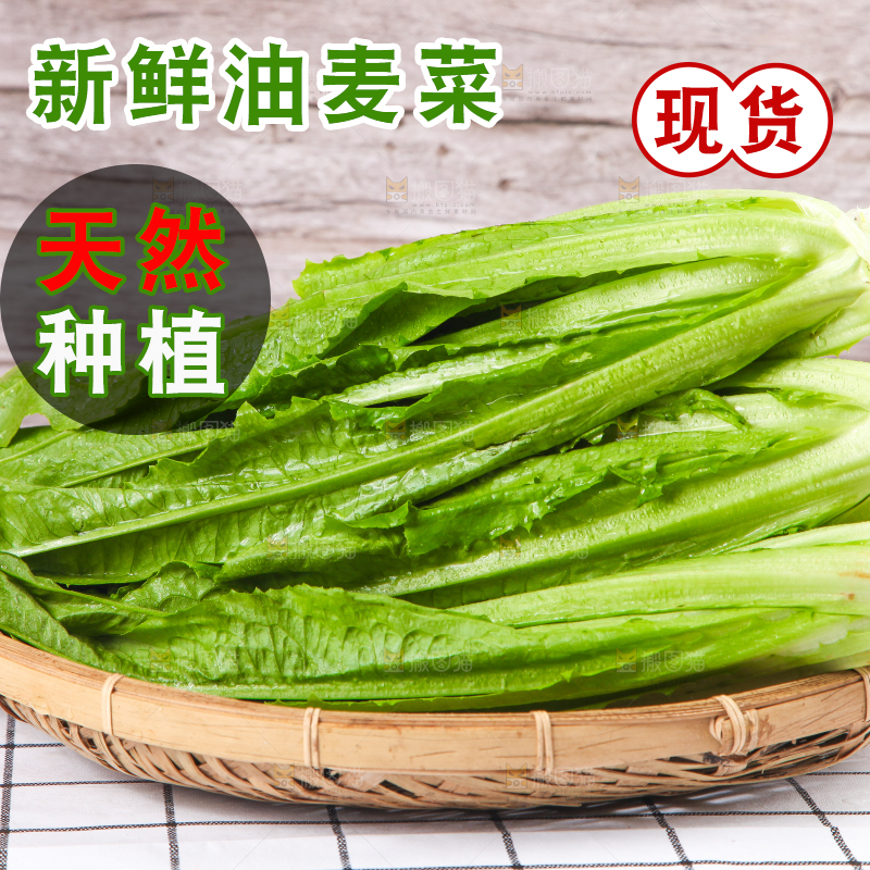 白格子底上放着新鲜油麦菜