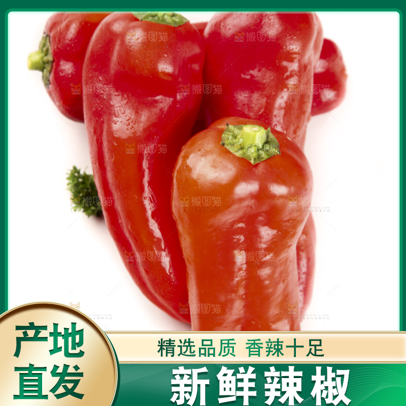 白底上放着红辣椒