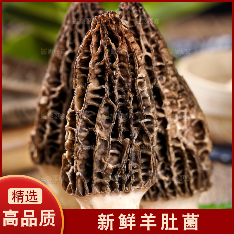 深底上摆放着羊肚菌