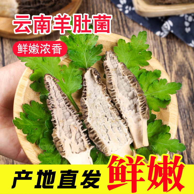 盘子里装着羊肚菌