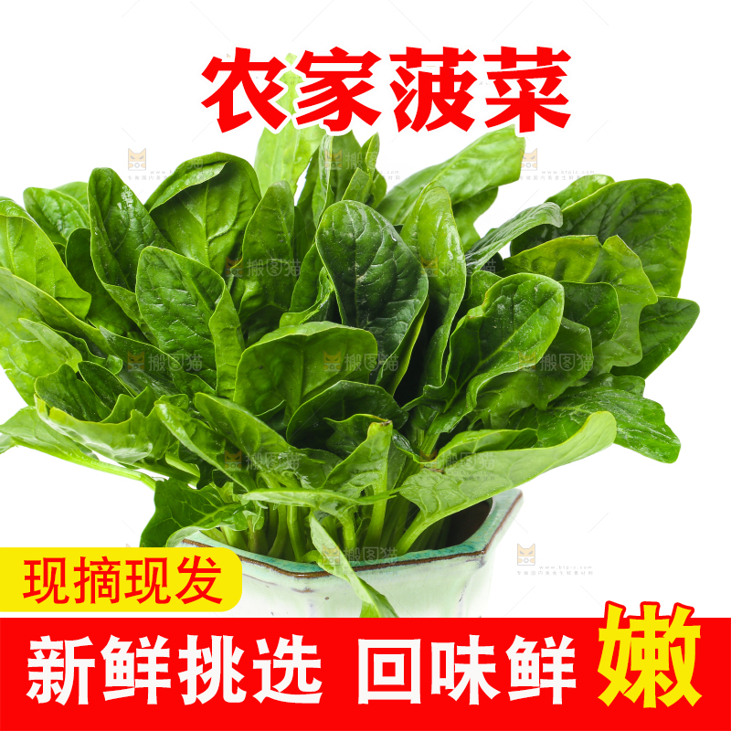 白底上放着菠菜