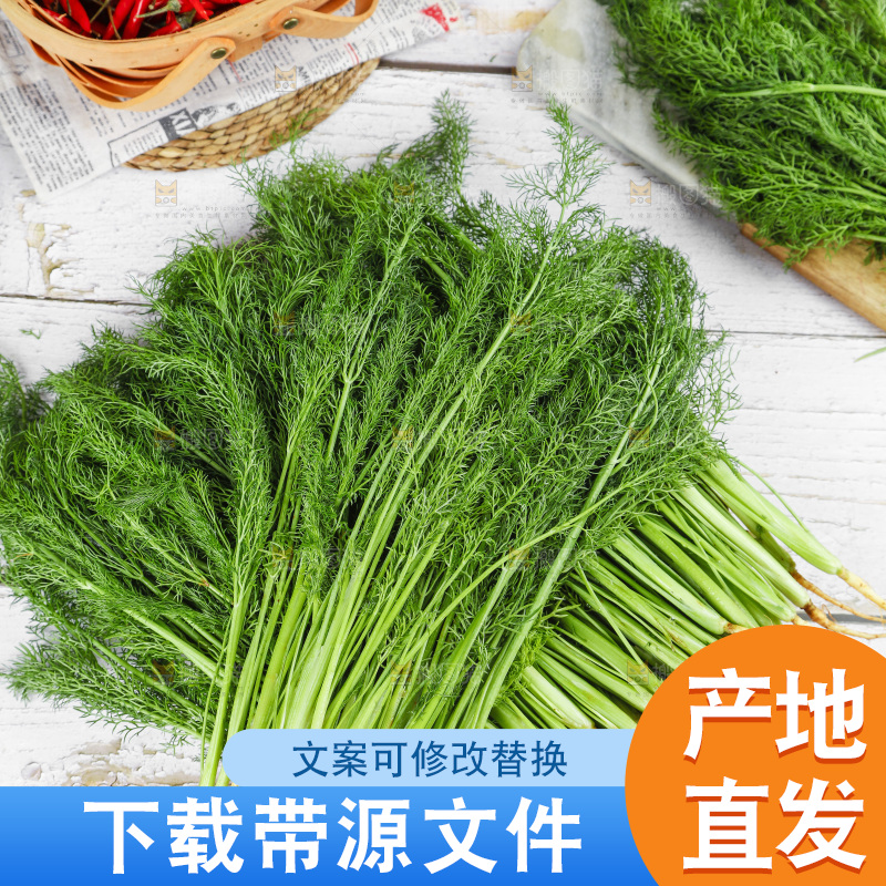 木底上的小茴香菜
