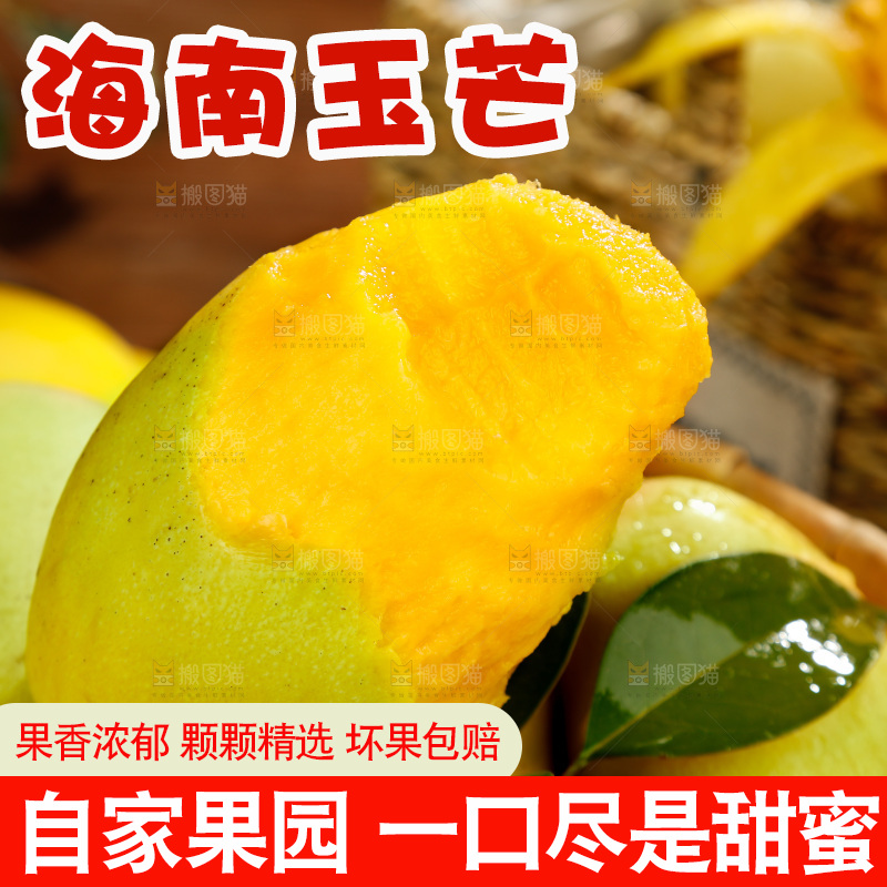 篮子里装着玉芒