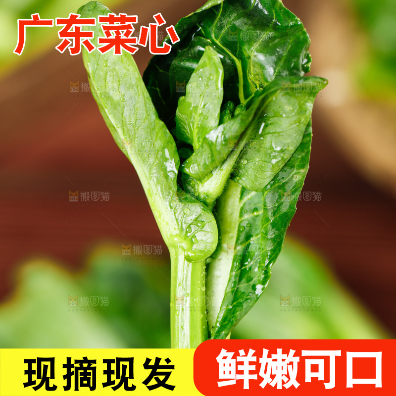 手里拿着广东菜心