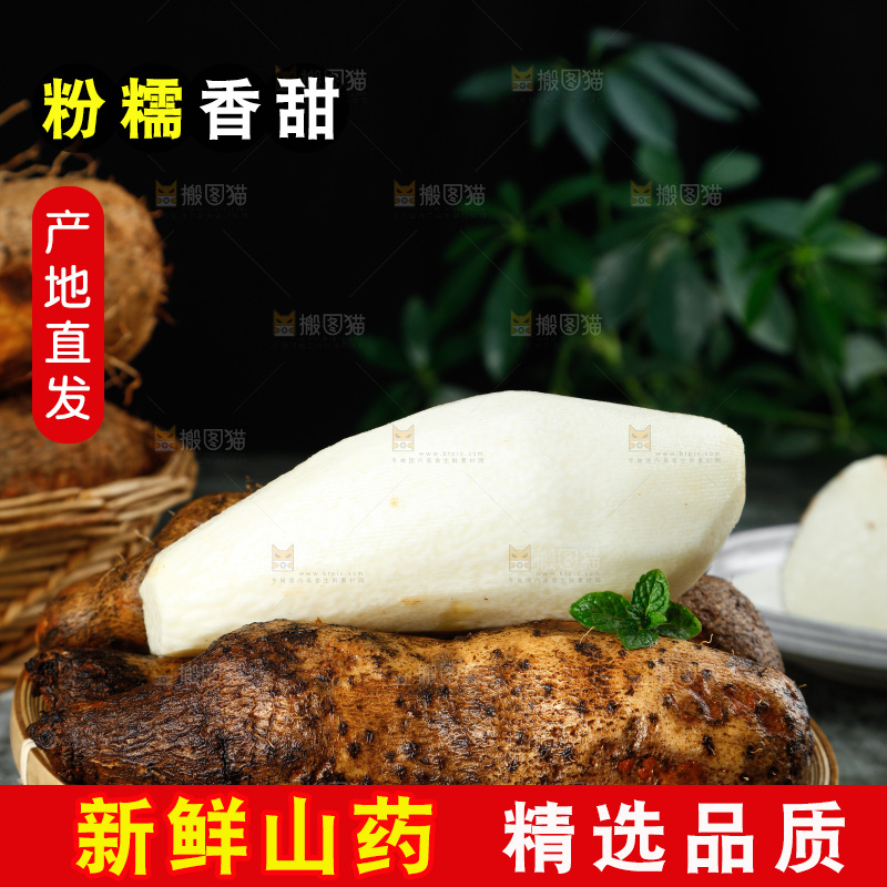 黑底上的金秤砣山药