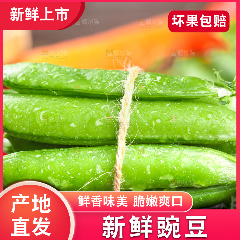 黑底上放着一捆新鲜豌豆荚