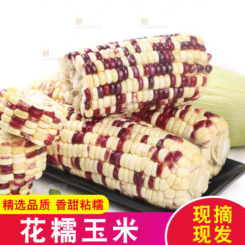 白底上放着一盘糯玉米