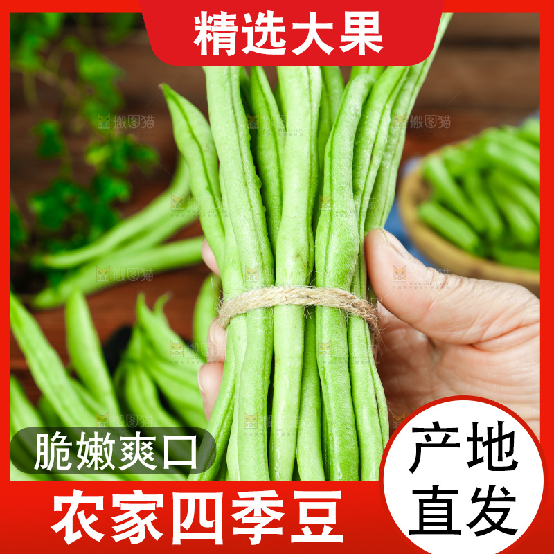 手里拿着四季豆