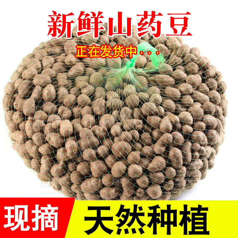 白底上摆放着山药豆