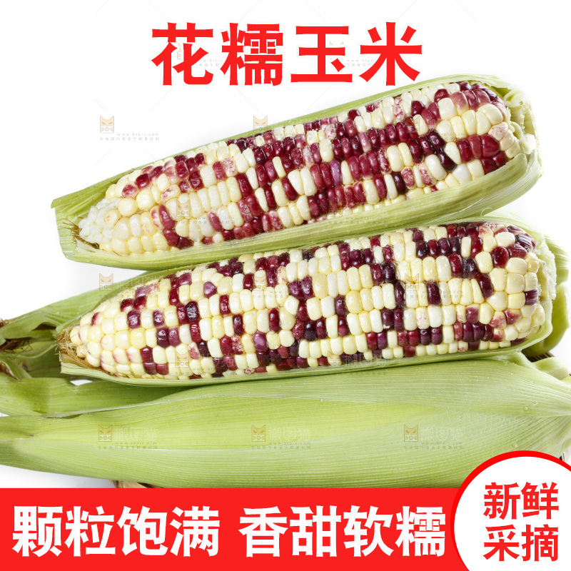 白底上放着剥皮的花糯玉米
