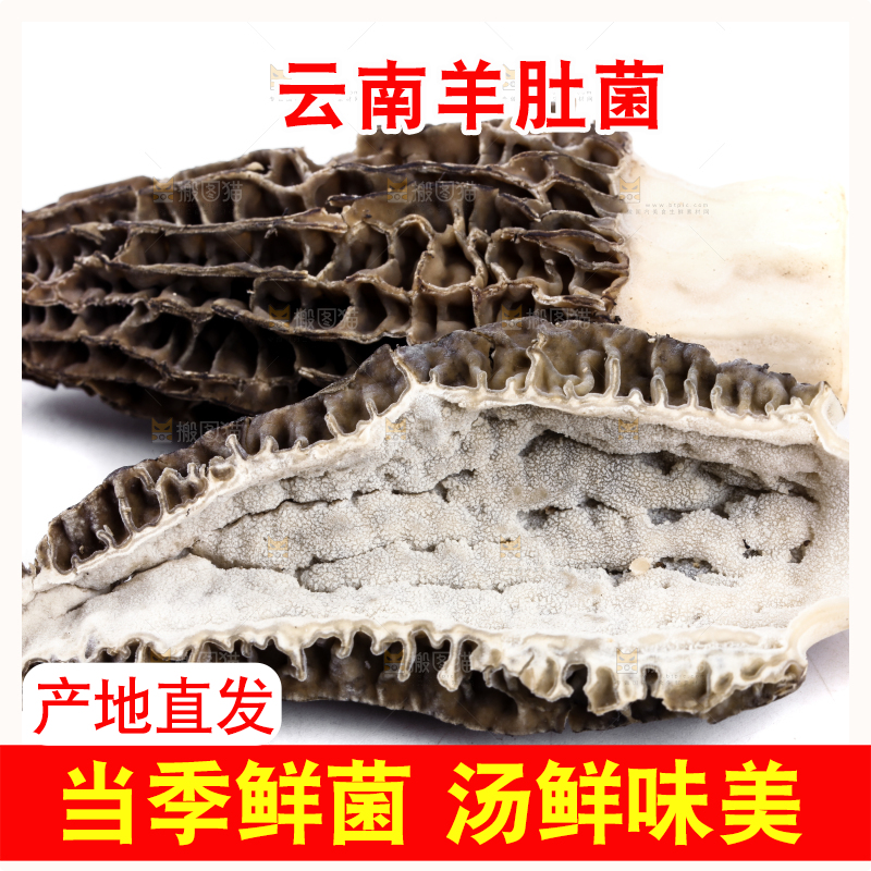白底上放着羊肚菇