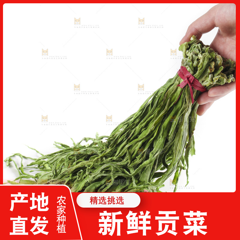 白底上的贡菜