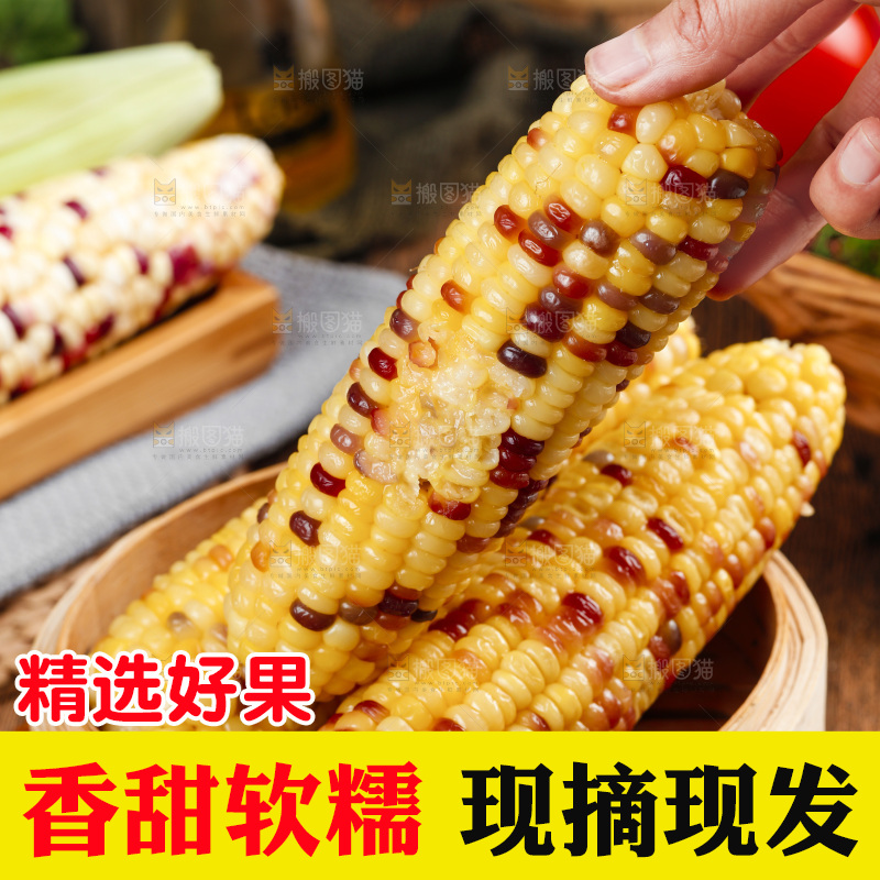 手拿熟糯玉米