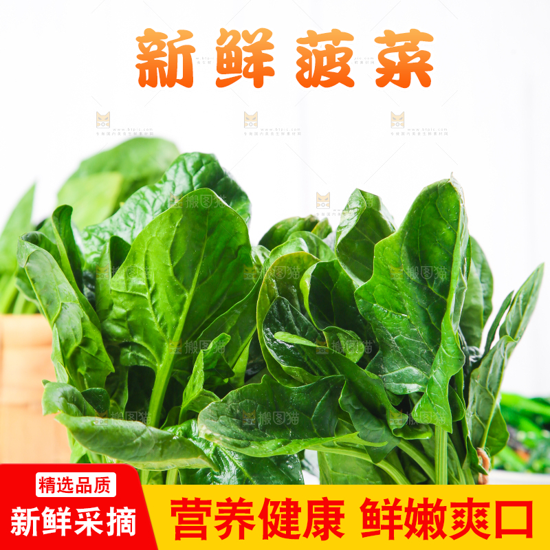 白格子底上的嫩菠菜