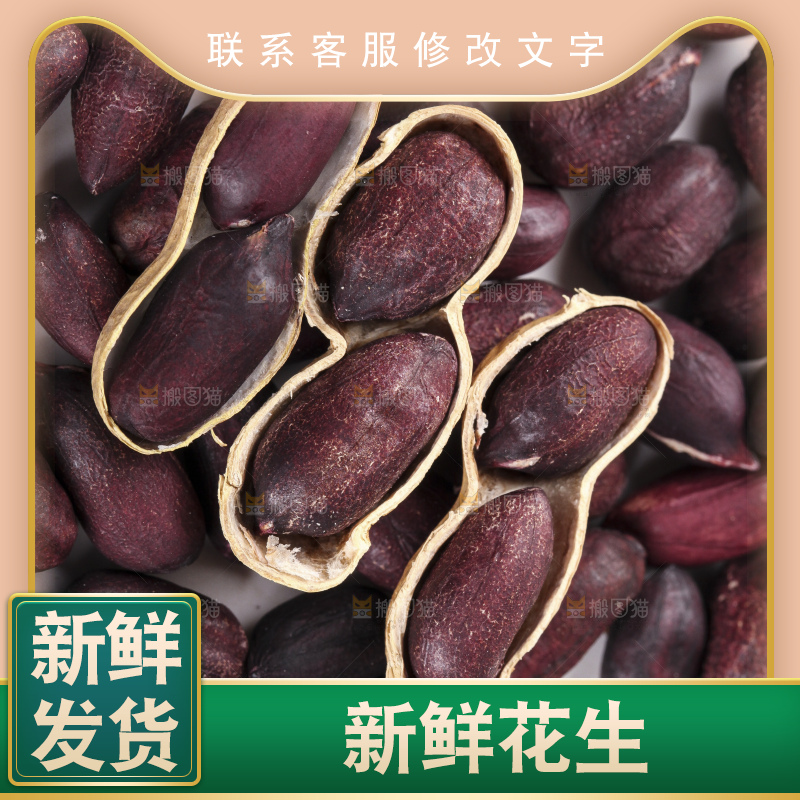 白底上的黑皮花生