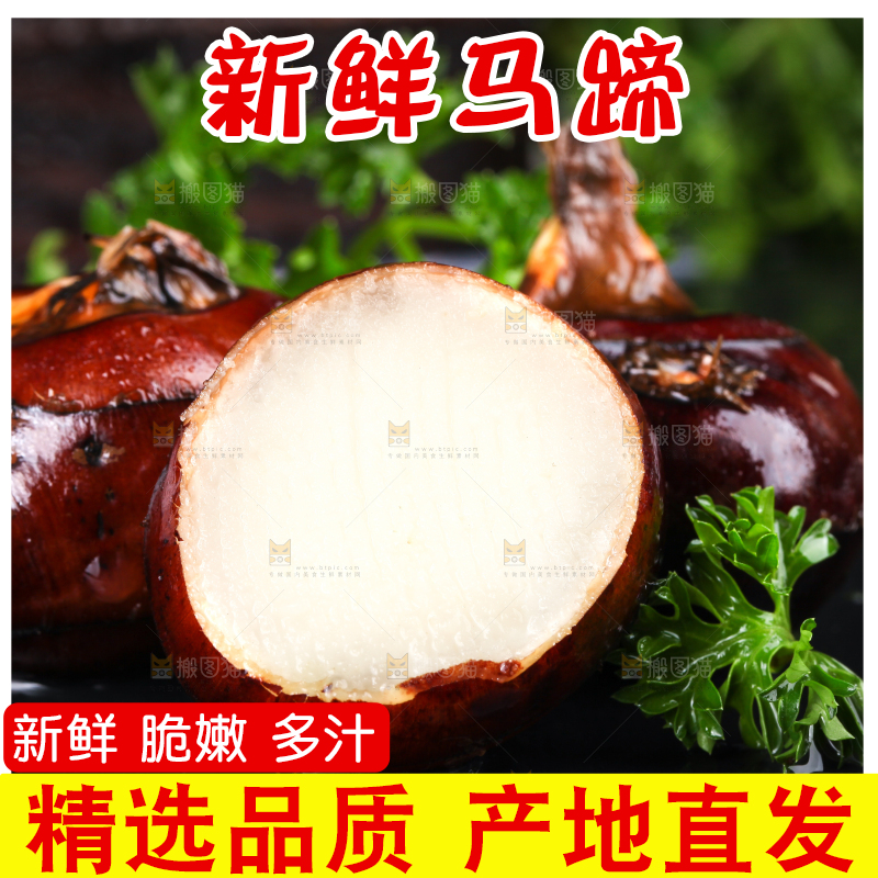 黑石板上的荸荠