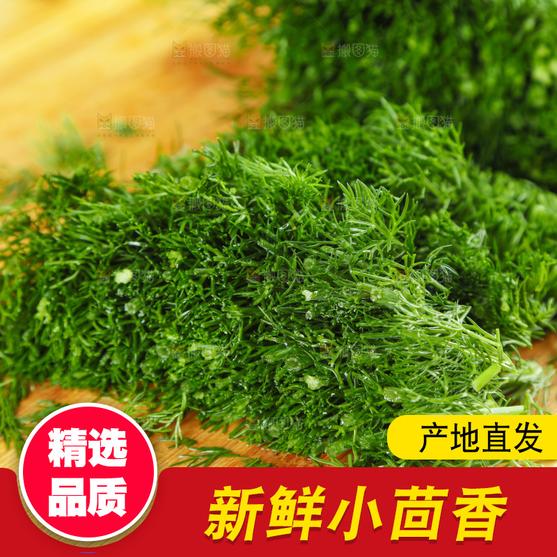 木板上的土茴香