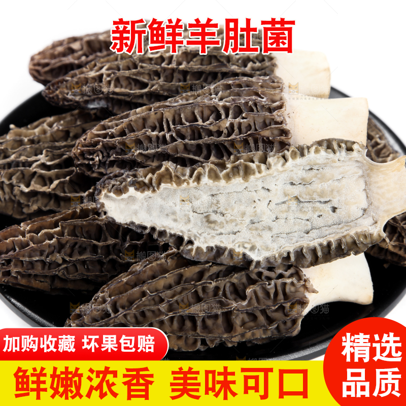 盘子里装着羊肚菌