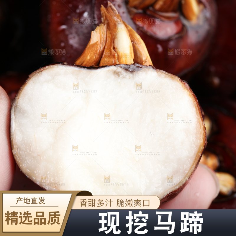 深底上的广西荔浦马蹄