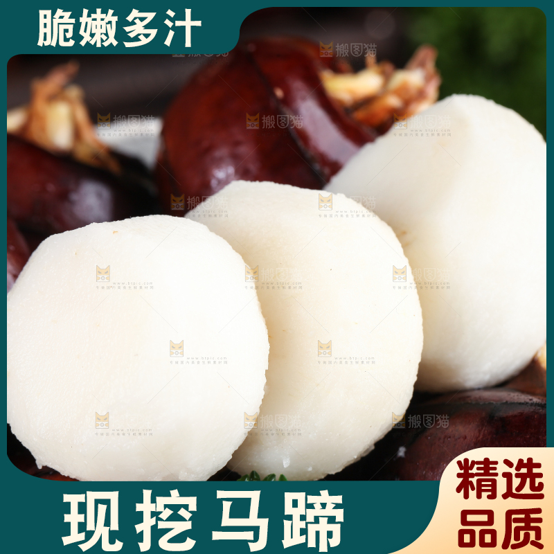 深底上的广西荔浦马蹄