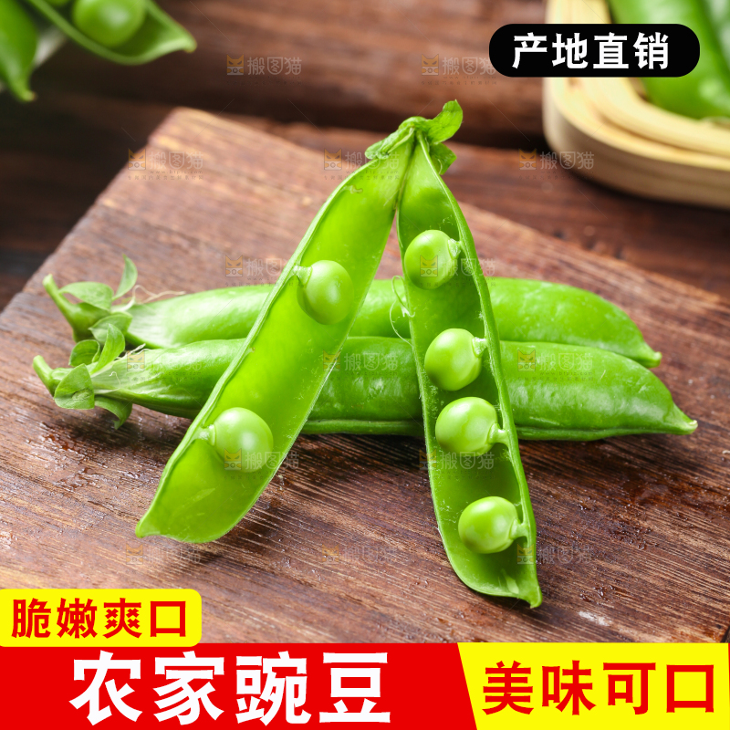 木底上的云南豌豆