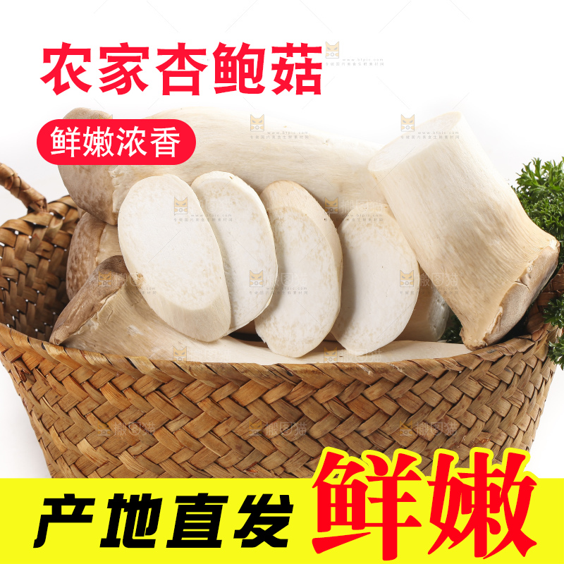 篮子里的菌菇