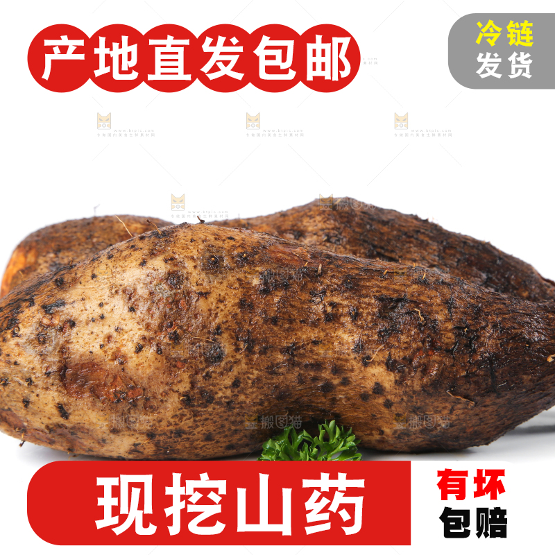 白底上的糯米金秤砣山药