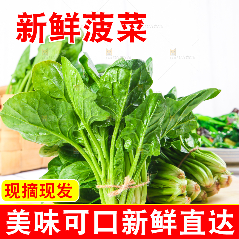 白格子底上的嫩菠菜