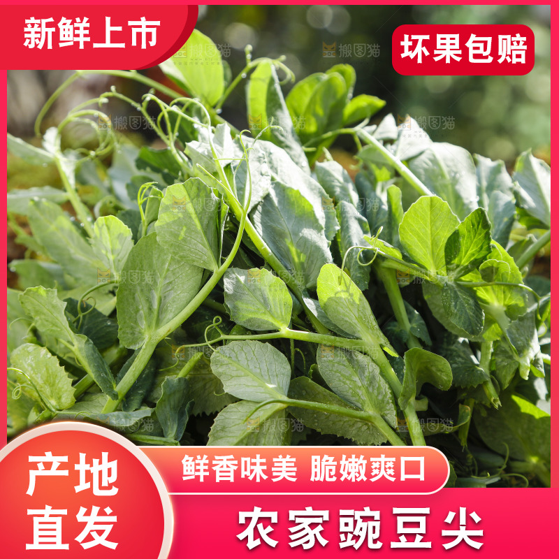 草地上放着豌豆尖