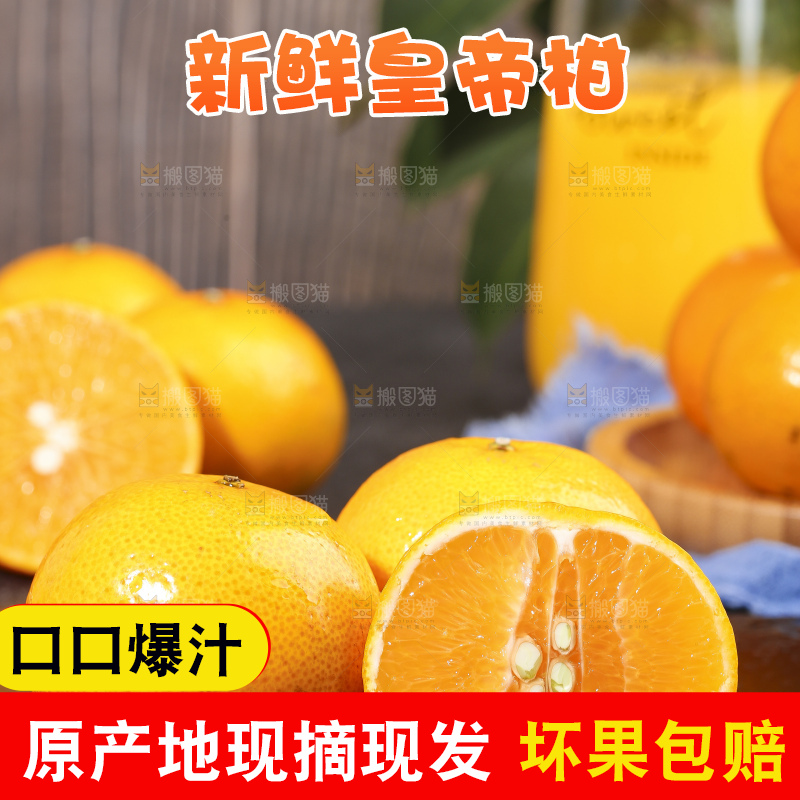 黑石板上切开的武鸣皇帝柑