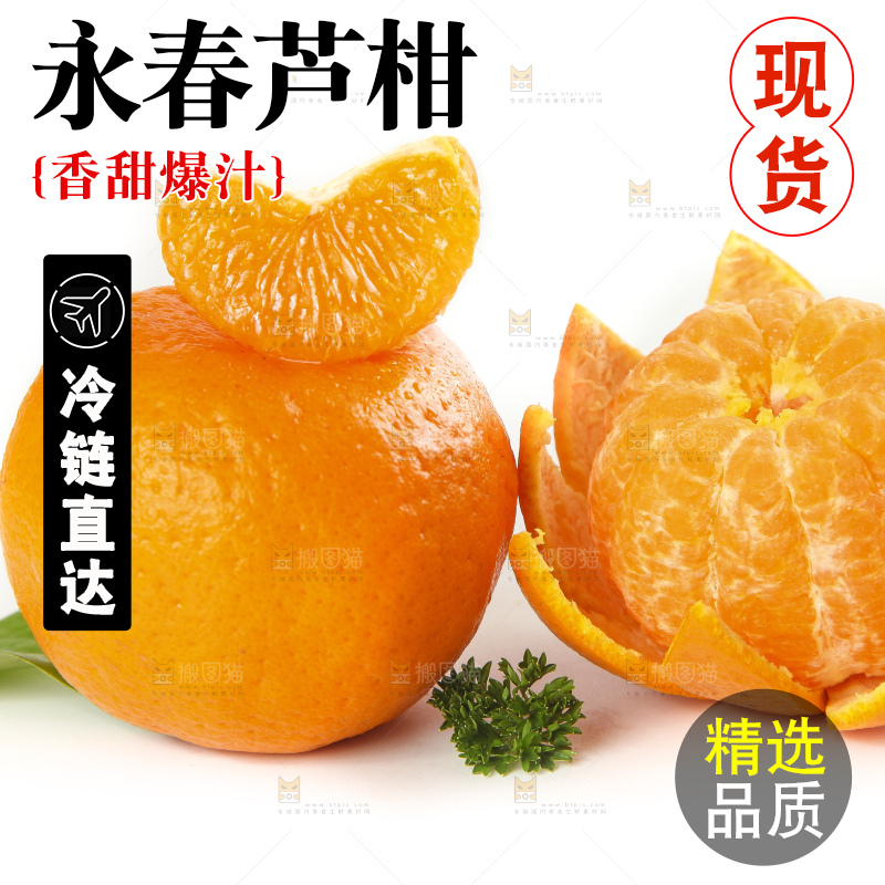 白底上的椪柑橘