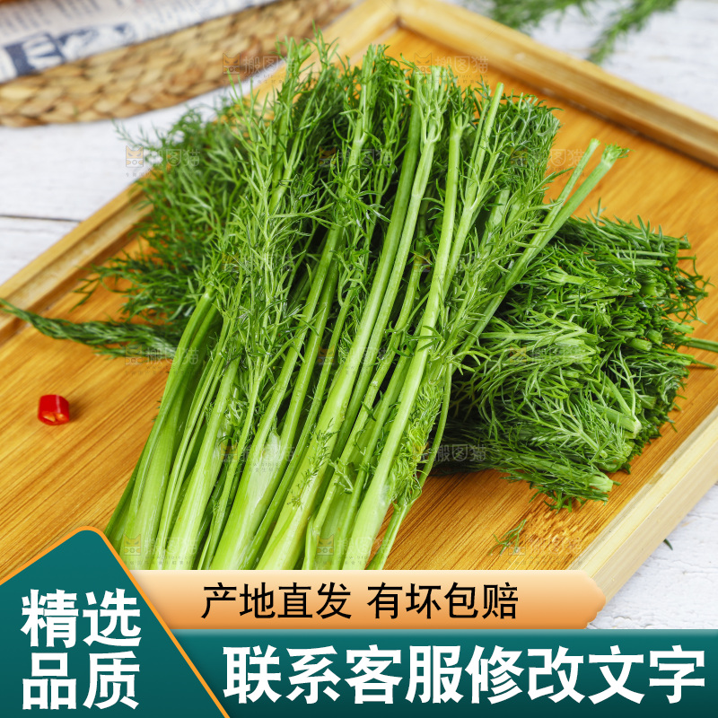 盘子里的云南小茴香菜