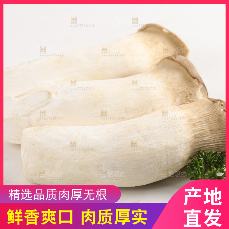 白底上放着新鲜杏鲍菇