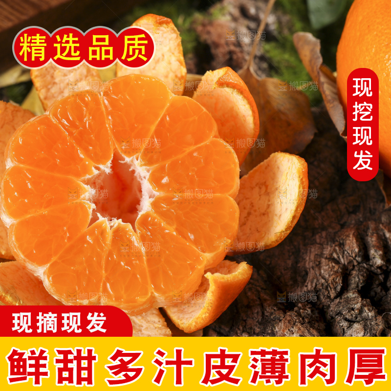 篮子里装着新鲜芦柑