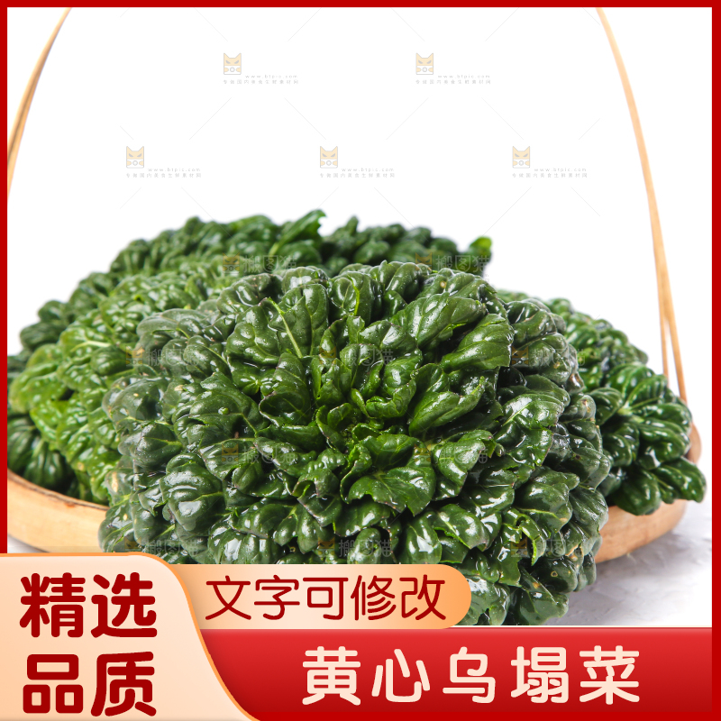 篮子里装着乌塌菜