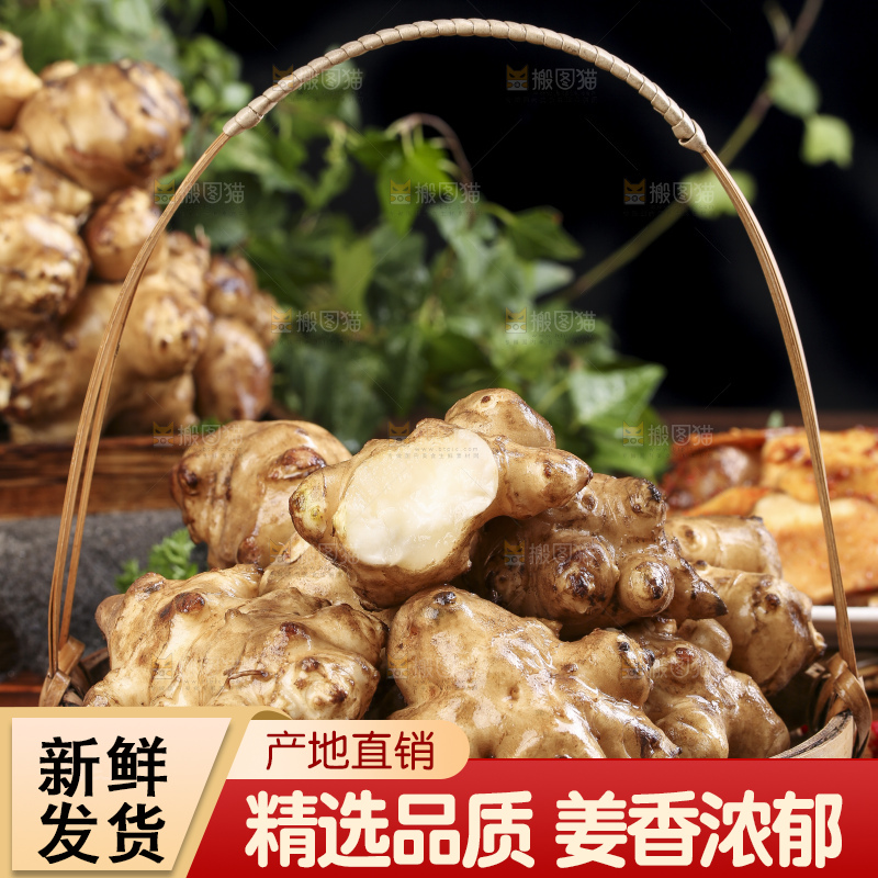 篮子里装着鬼子姜