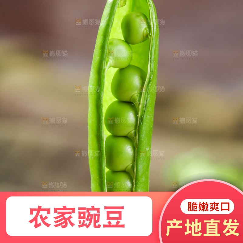 木底上的云南豌豆
