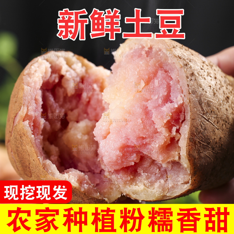 手里拿着彩色土豆