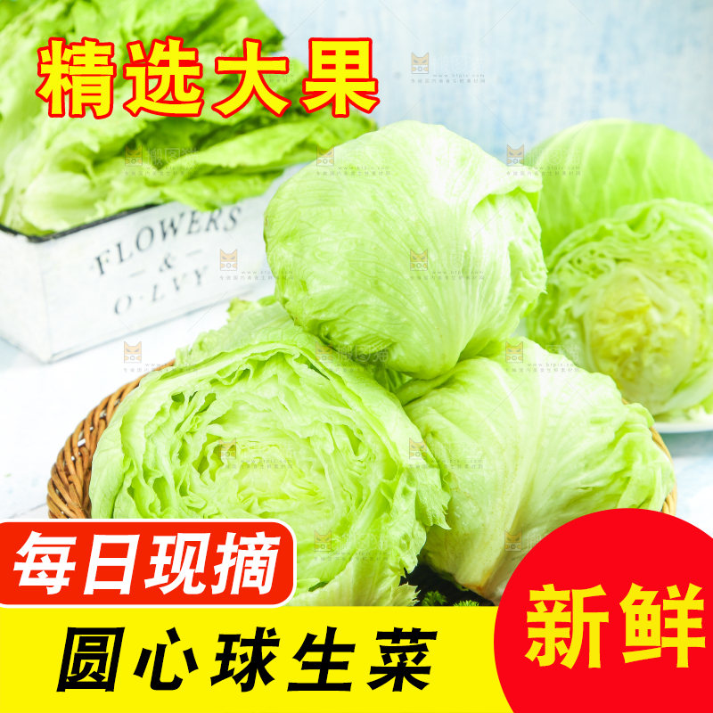 篮子里放着圆生菜