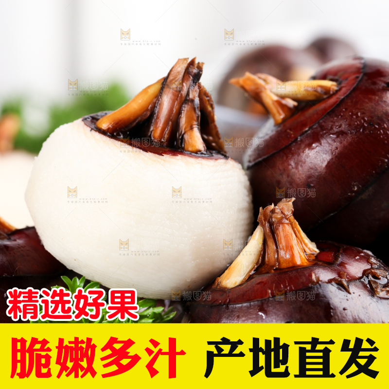 彩底上的马蹄果