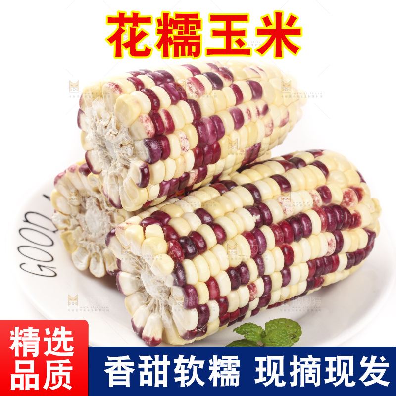 白底上放着一盘糯玉米