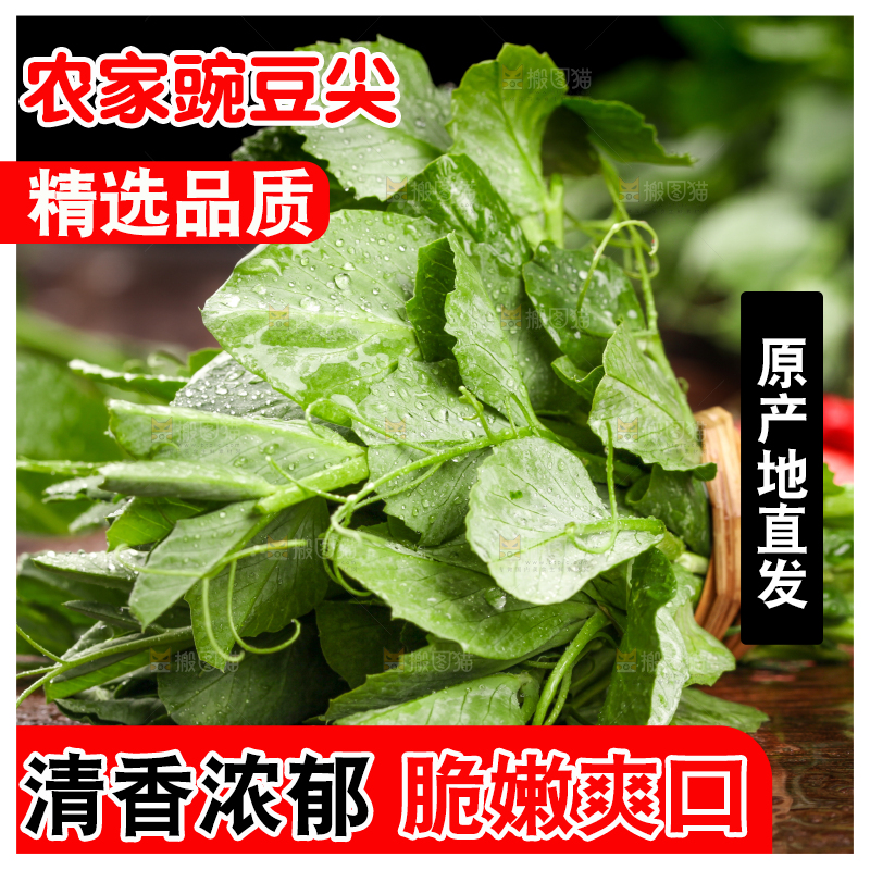 深底上的四川豌豆尖