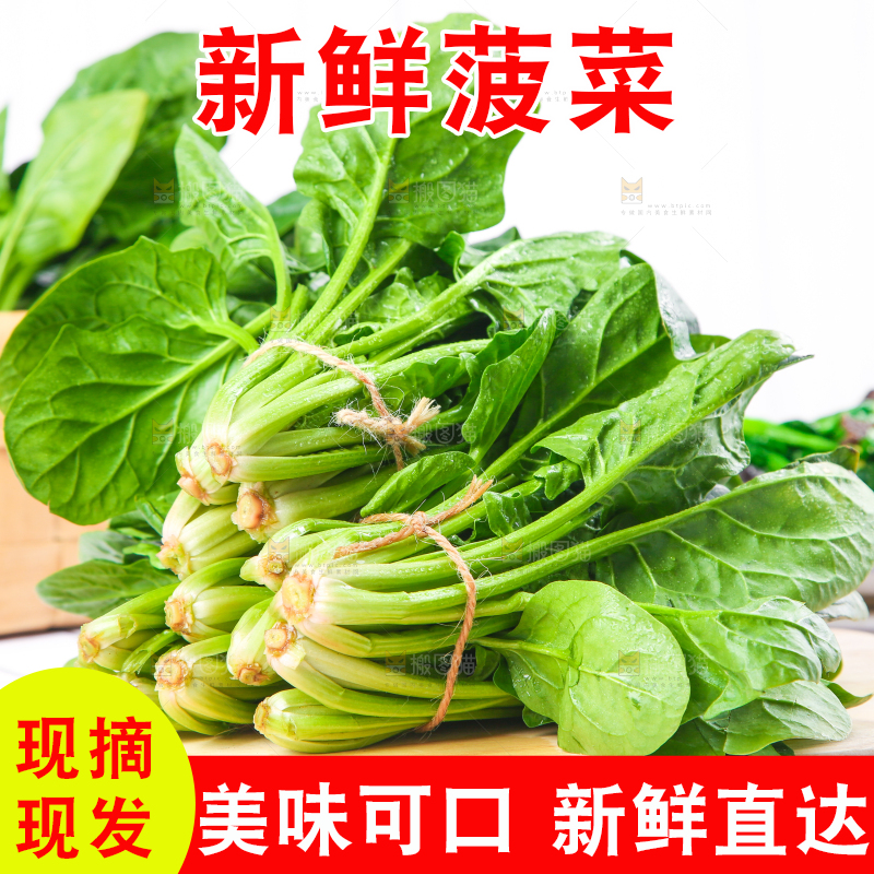 白格子底上的嫩菠菜