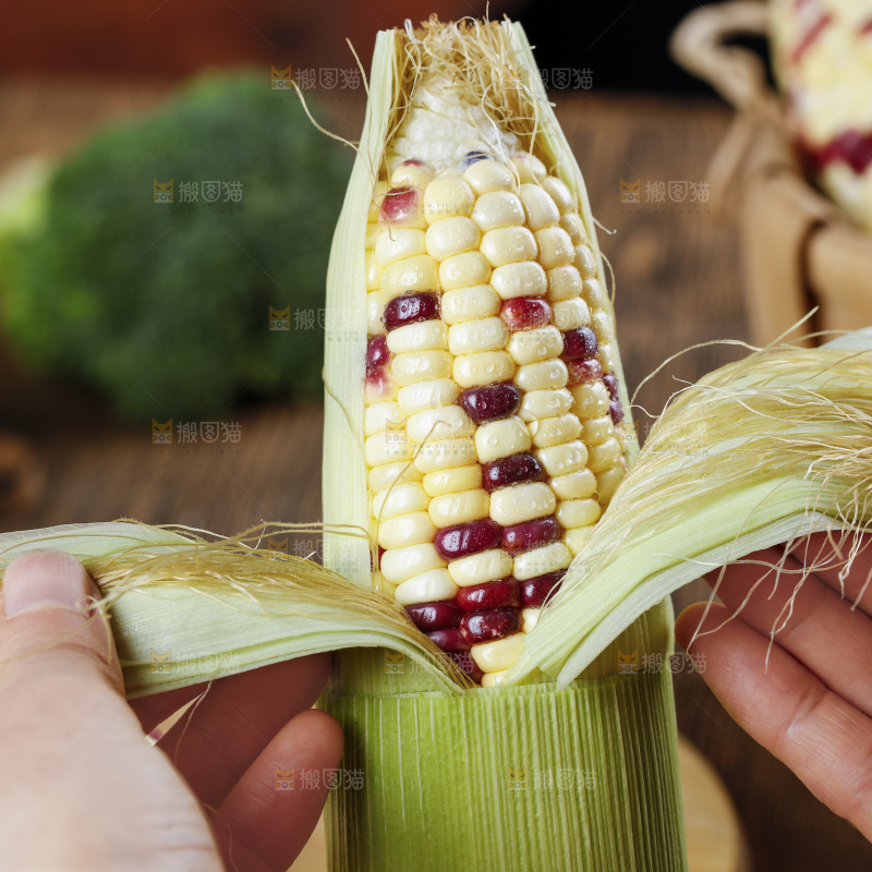 手拿花糯玉米