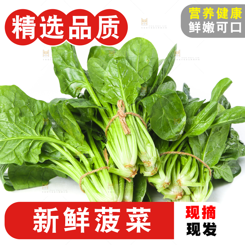 白底上的大叶菠菜