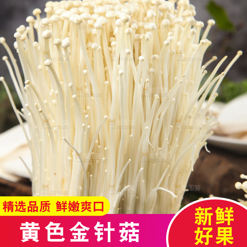 黑石板上的金针菇