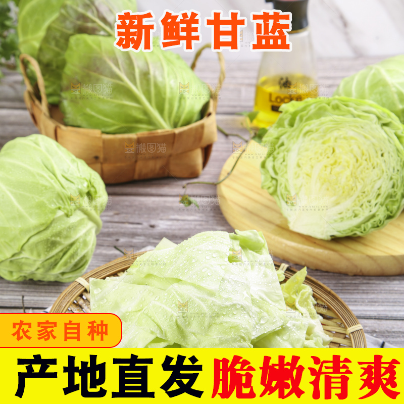 盘子里装着包心菜